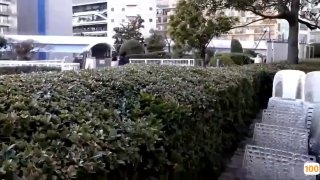 天天爽天天玩毛片视频_刚刚更新18禁成人视频